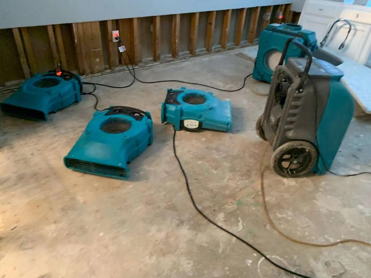 Commercial Water Damage Restoration in Windsor, MI