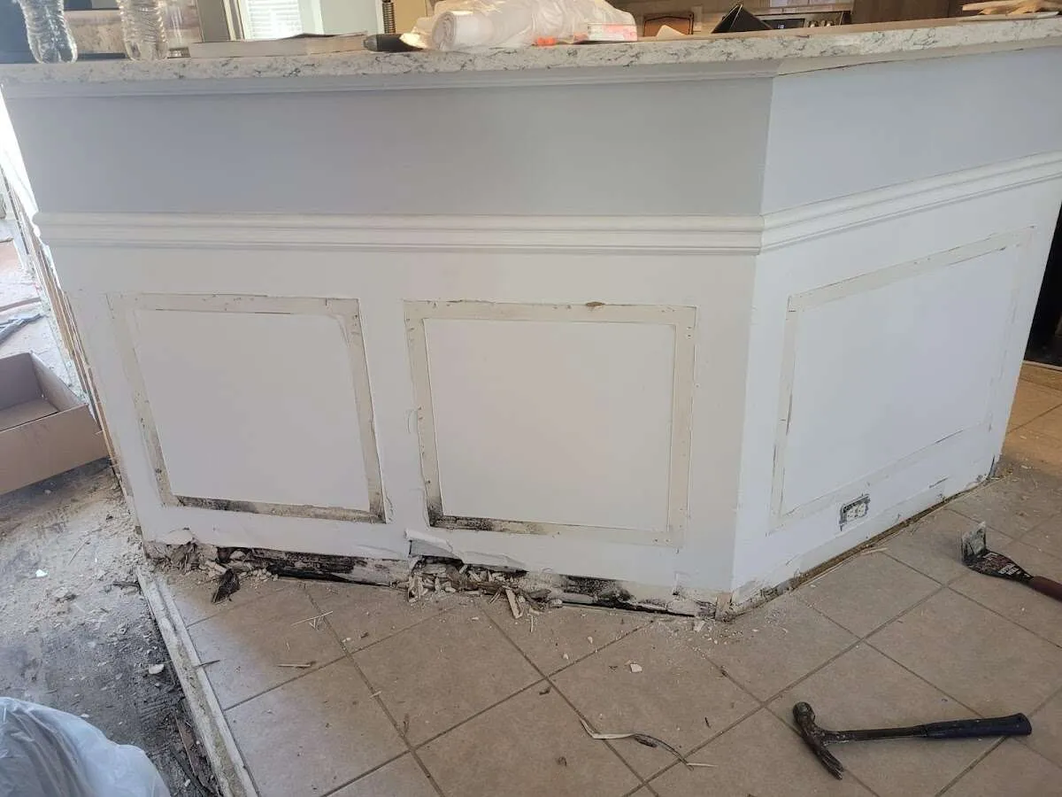 Water damage and mold on kitchen during Sewage Cleanup & Sanitation in Windsor